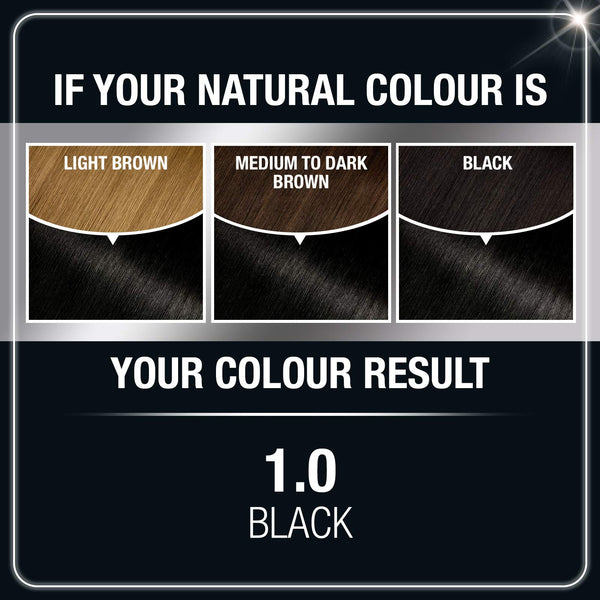 Garnier Olia Oil Powered Ammonia Free Permanent Hair Color, 1.0 Black