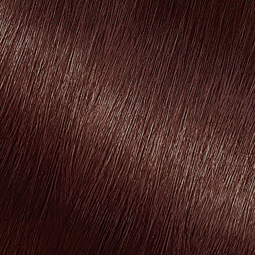 Garnier Nutrisse Nourishing Hair Color Creme, 415 Soft Mahogany Dark Brown (Raspberry Truffle) (Packaging May Vary)