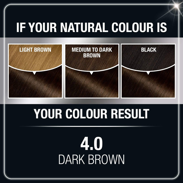 Garnier Olia Ammonia Free Permanent Hair Color, 100 Percent Gray Coverage (Packaging May Vary), 4.0 Dark Brown Hair Dye, Pack of 1