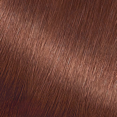 Garnier Nutrisse Nourishing Hair Color Creme, 535 Medium Gold Mahogany Brown  (Packaging May Vary)